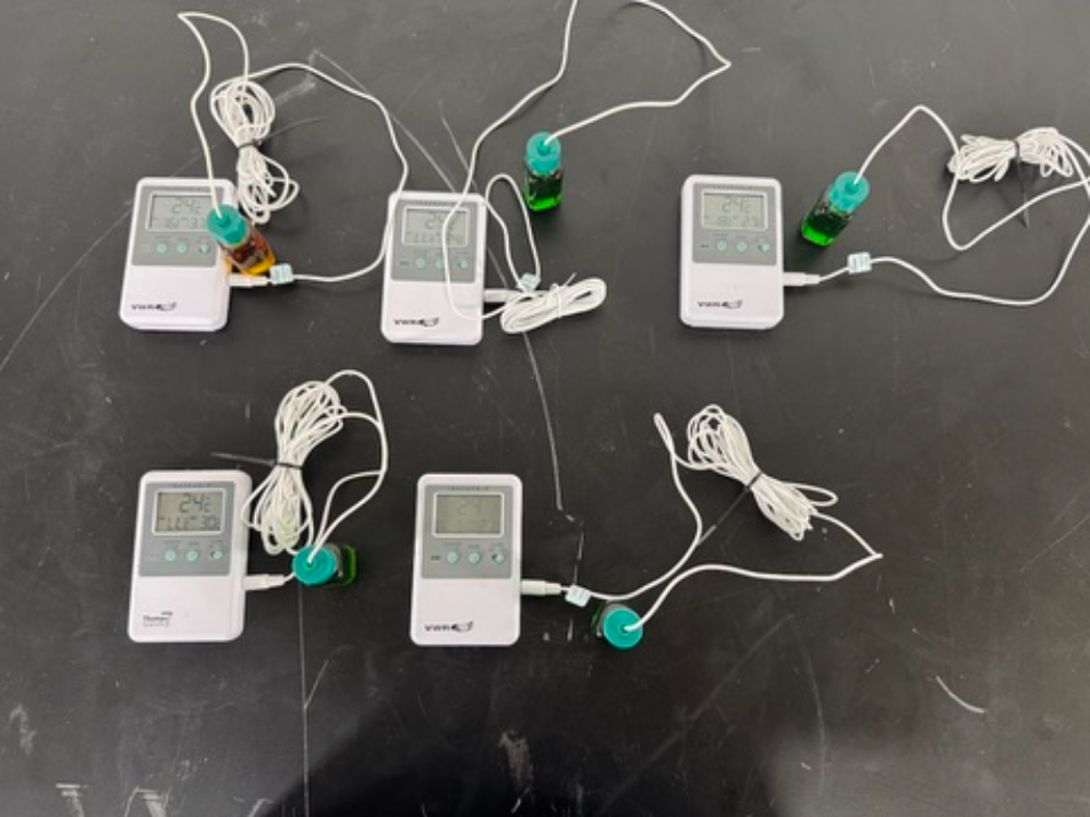 Image of VWR Traceable Digital Thermometers - Quantity 5